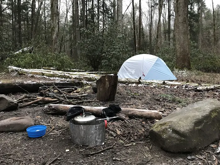 Lower Walnut Bottom Campsite 37 4