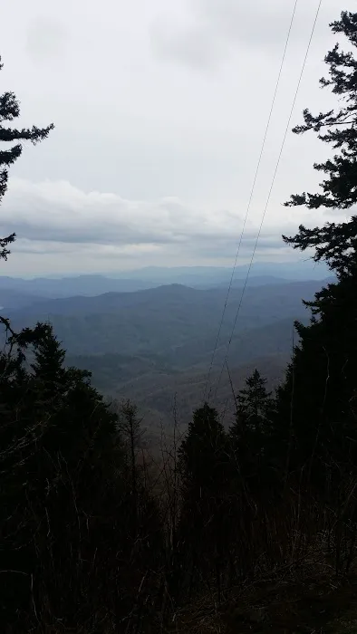 Lower Walnut Bottom Campsite 37 2