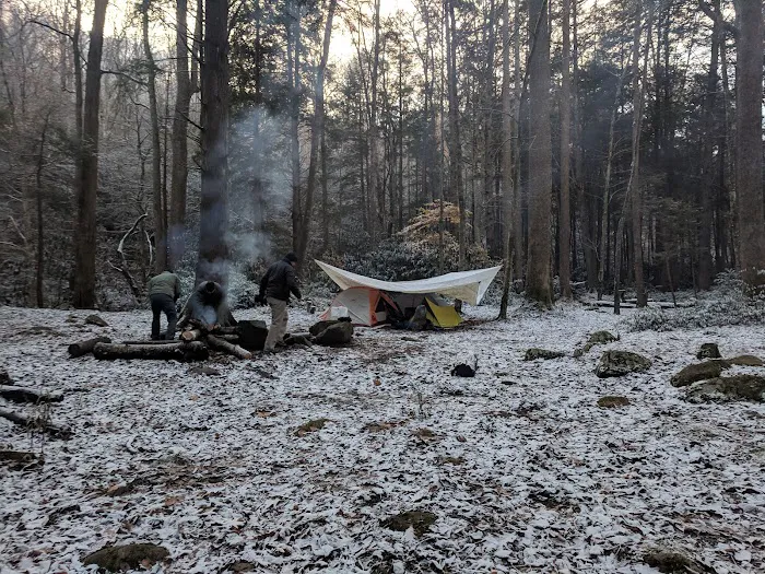 Lower Walnut Bottom Campsite 37 6