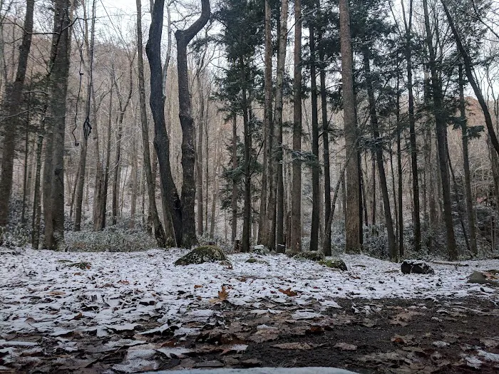 Lower Walnut Bottom Campsite 37 5