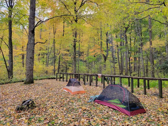 Backcountry Campsite #36 6