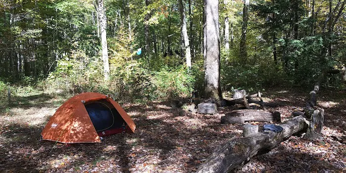 Backcountry Campsite #36 7