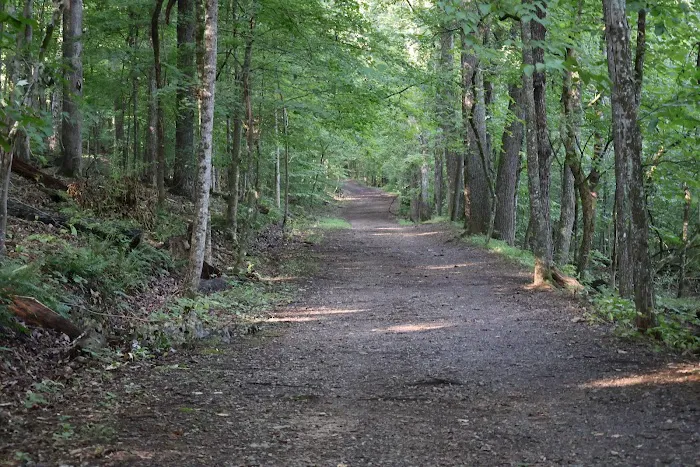 Panther Creek State Park Campground 0