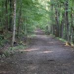 Panther Creek State Park Campground