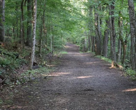 Panther Creek State Park Campground
