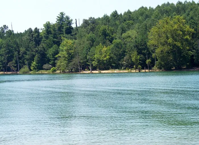 Loyston Point Campground 9