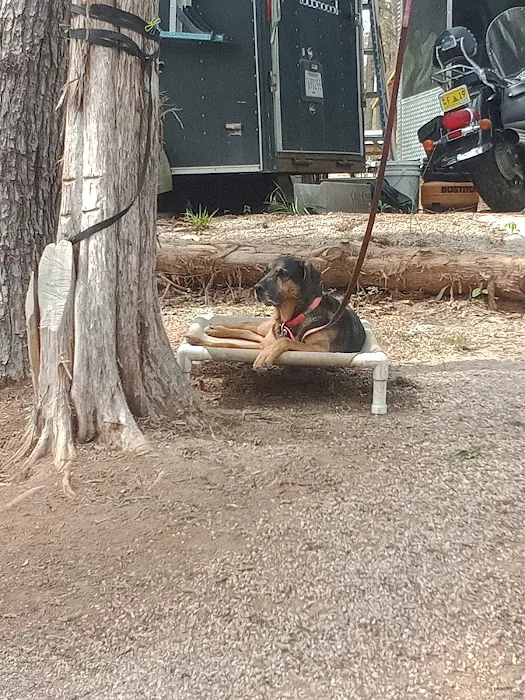 Backwoods Market And Campground 4
