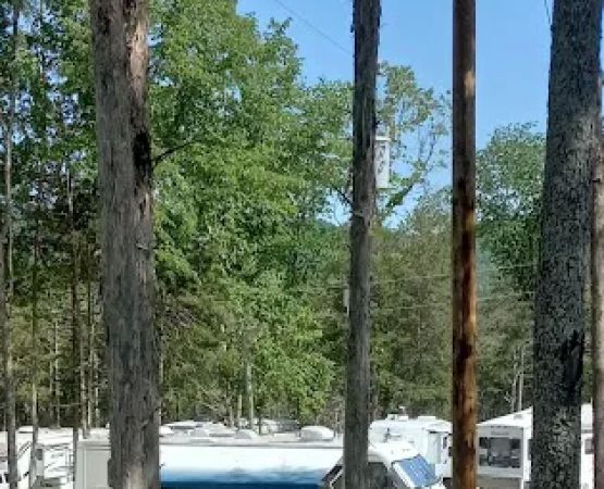 Backwoods Market And Campground
