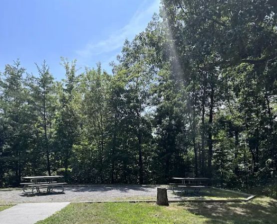 Look Rock Campground