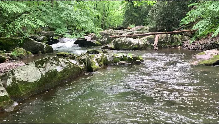 Calderwood Lake Campsite #1 9