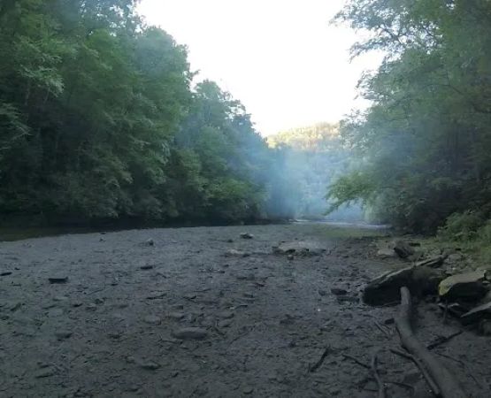 Calderwood Lake Campsite #1