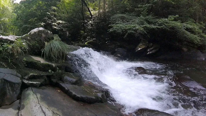 Calderwood Lake Campsite #1 3
