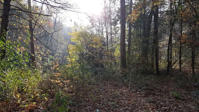 North River Campground 7