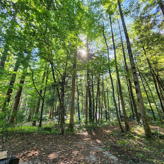 North River Campground 8
