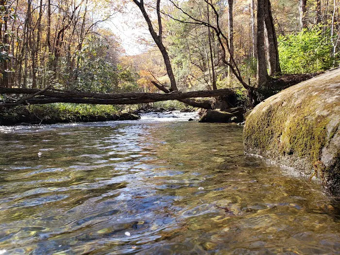 Birch Branch Campground 9