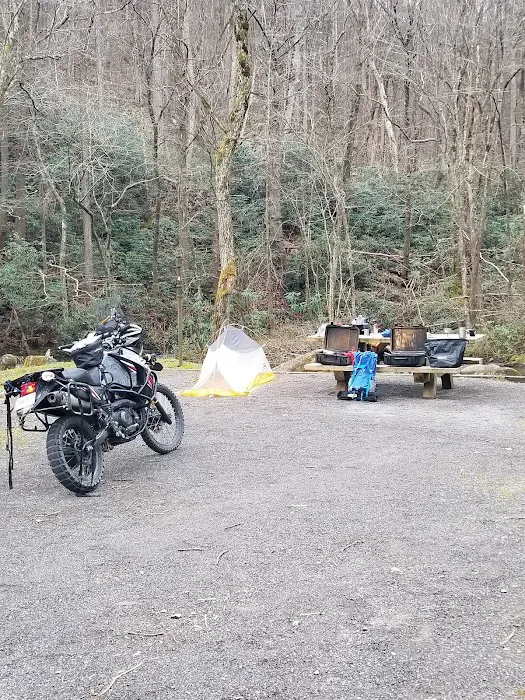 Birch Branch Campground 4