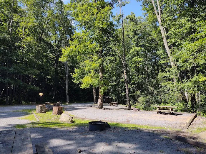 Birch Branch Campground 6