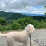 Cherokee Campground & Craig's Cabins