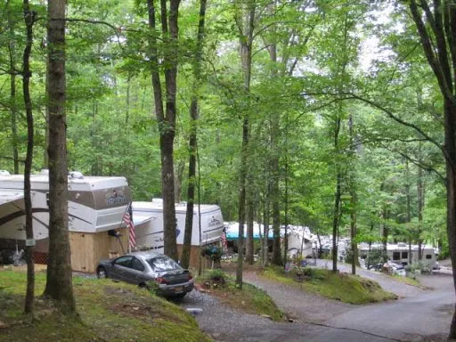 Holly Cove RV Resort 5
