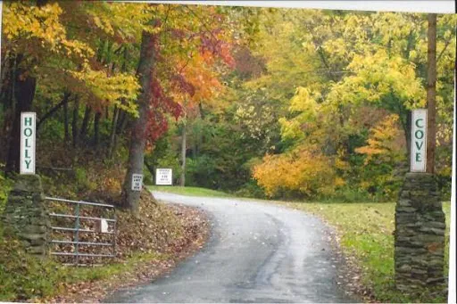 Holly Cove RV Resort 0