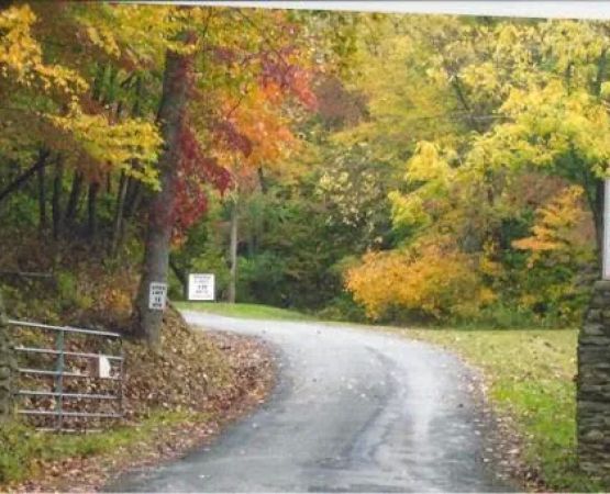 Holly Cove RV Resort