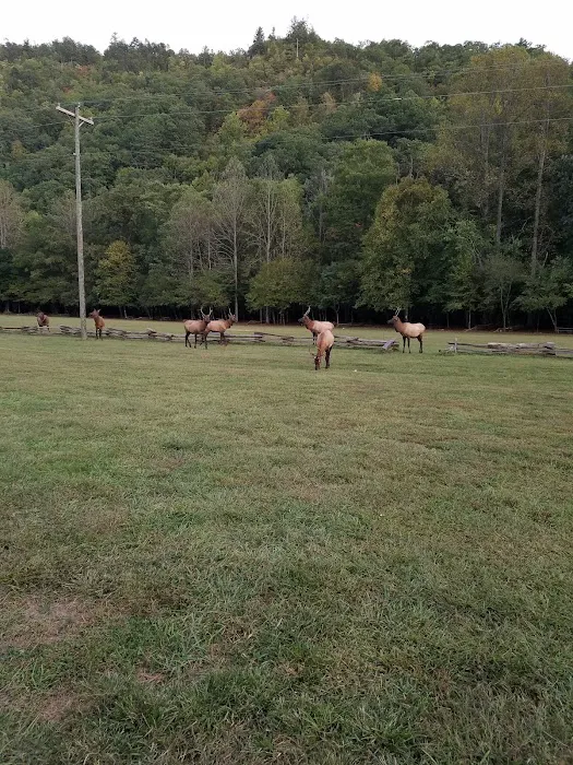 Welch Family Campground 1