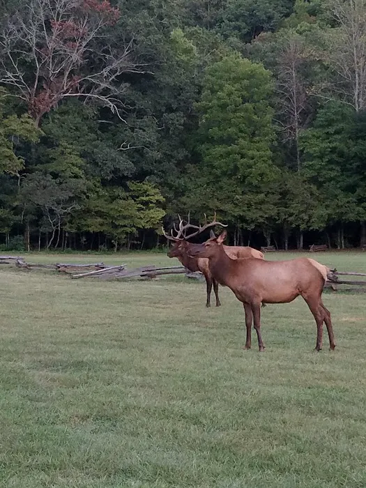 Welch Family Campground 0
