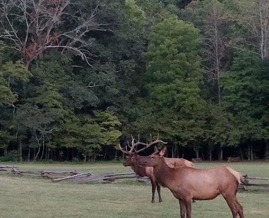 Welch Family Campground