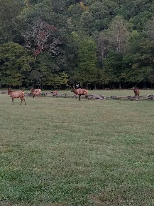 Welch Family Campground 3