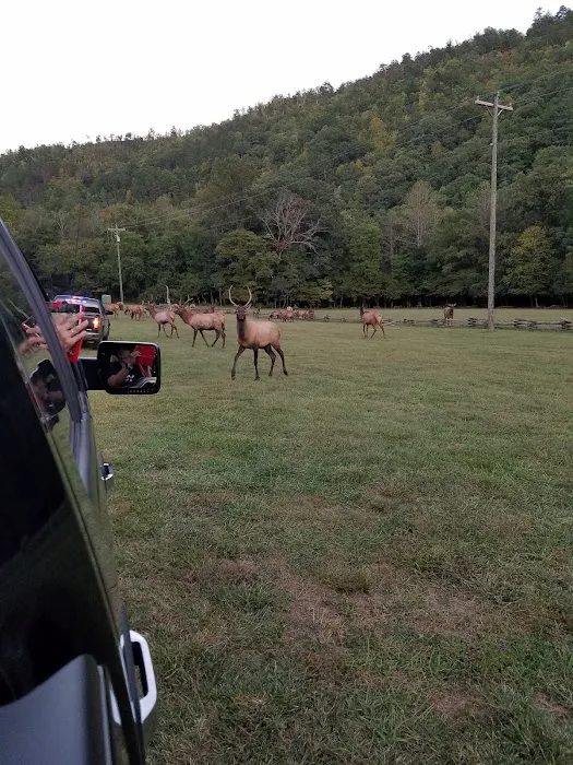 Welch Family Campground 2