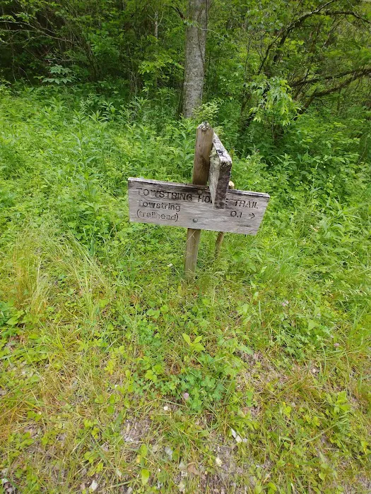 Tow String Horse Camp 4
