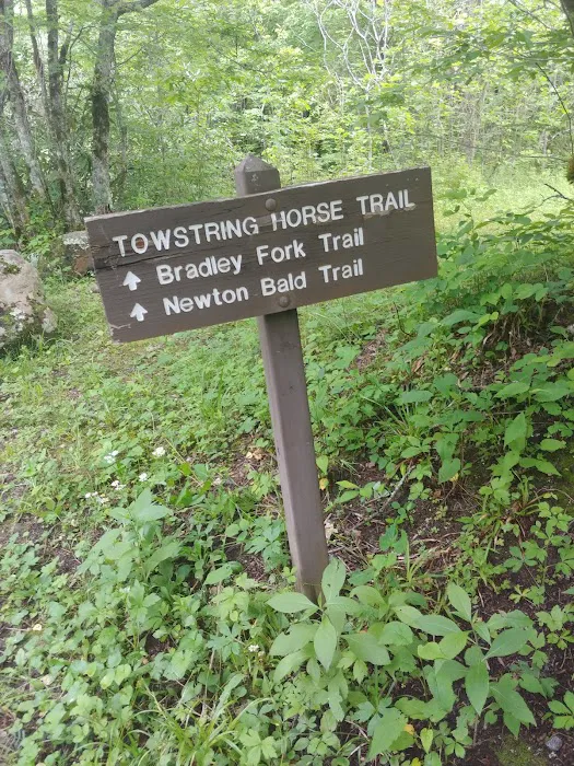 Tow String Horse Camp 5