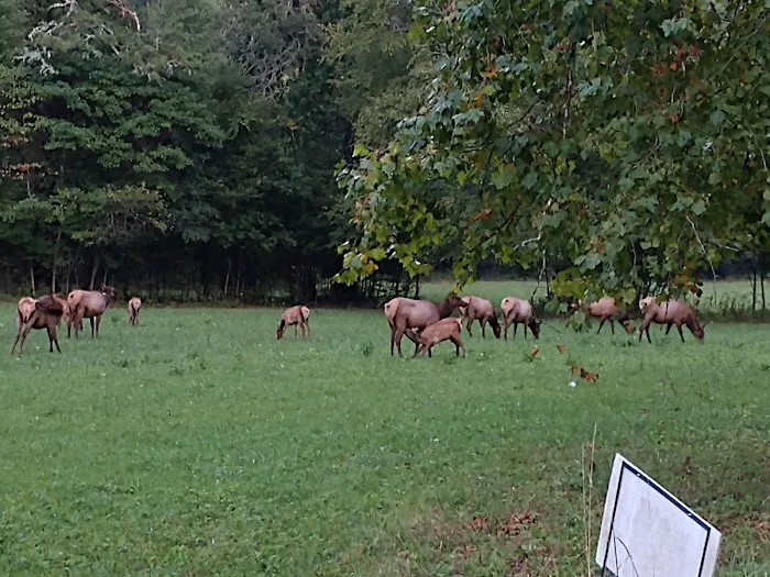 Tow String Horse Camp 1