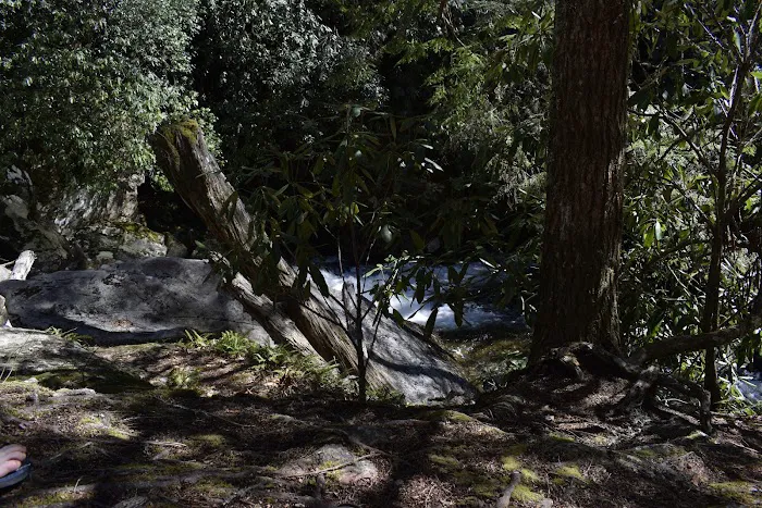 Backcountry Camp 48 5