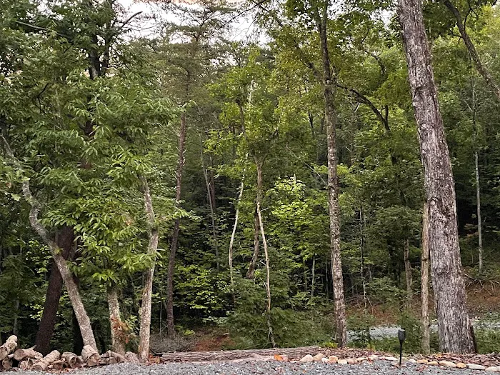 Comfort Spot Camp & Cottage 1