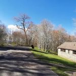 Balsam Mountain Campground