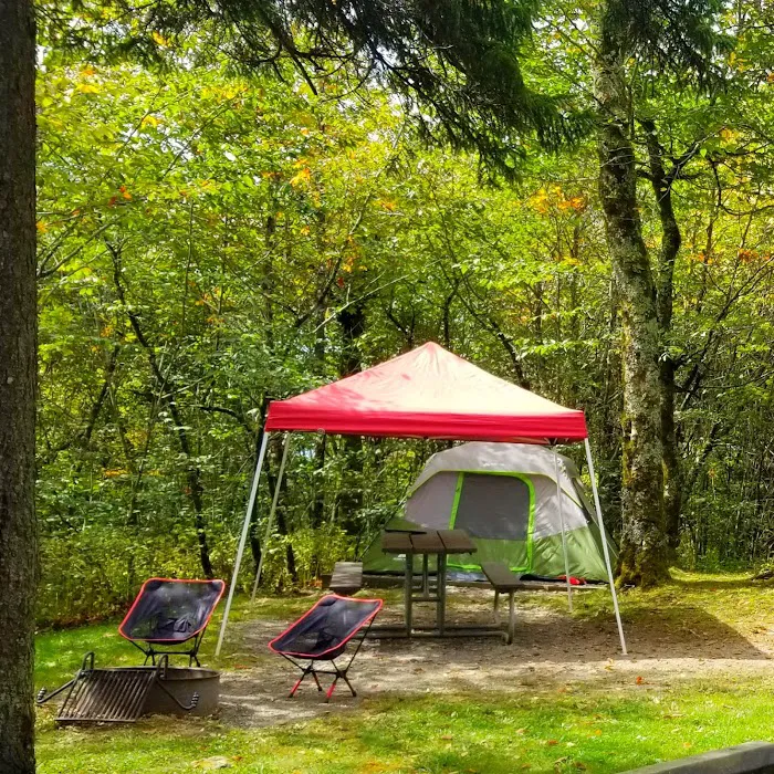 Balsam Mountain Campground 9