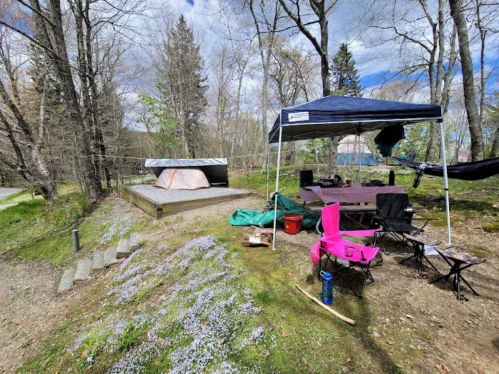 Balsam Mountain Campground 6
