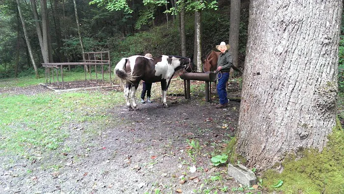 Round Bottom Campground 2