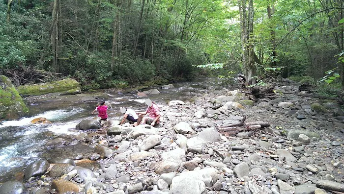 Round Bottom Campground 1