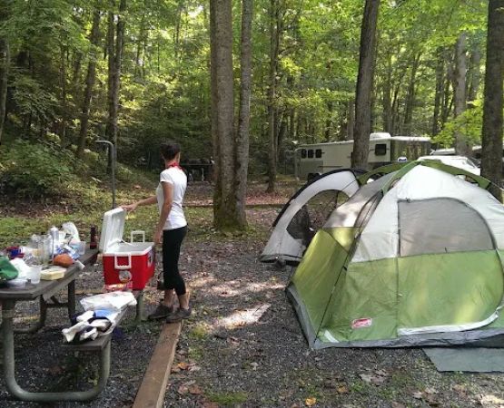 Round Bottom Campground