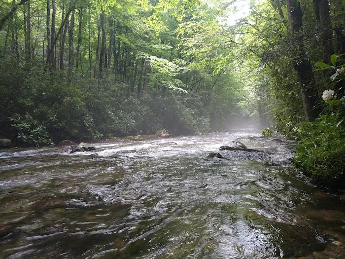 Round Bottom Campground 7