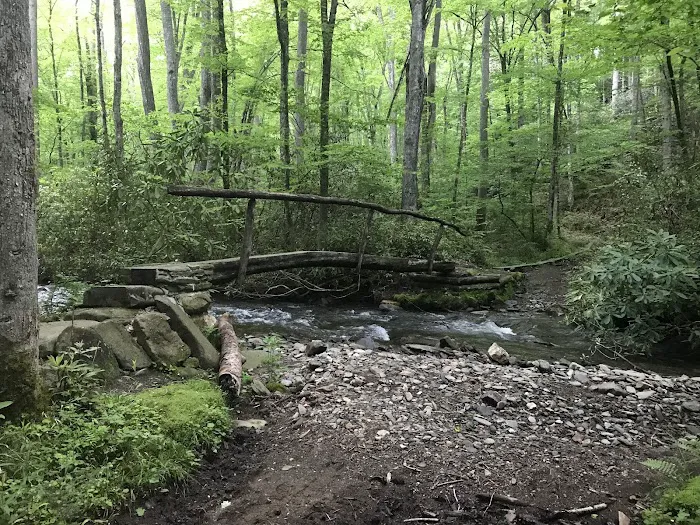 Backcountry Camp 41 2