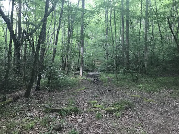 Backcountry Camp 41 3