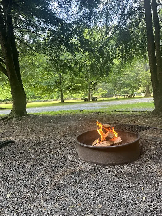 Sunburst Campground 2