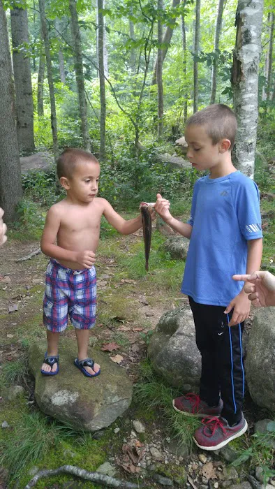 Sunburst Campground 3