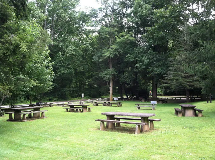 Sunburst Campground 9