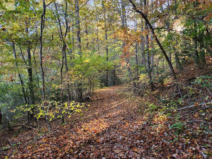 Turkey Creek Campground 5