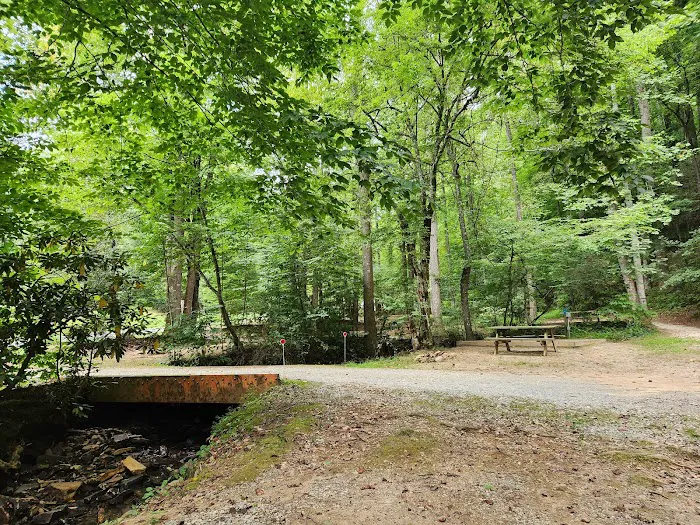 Turkey Creek Campground 3
