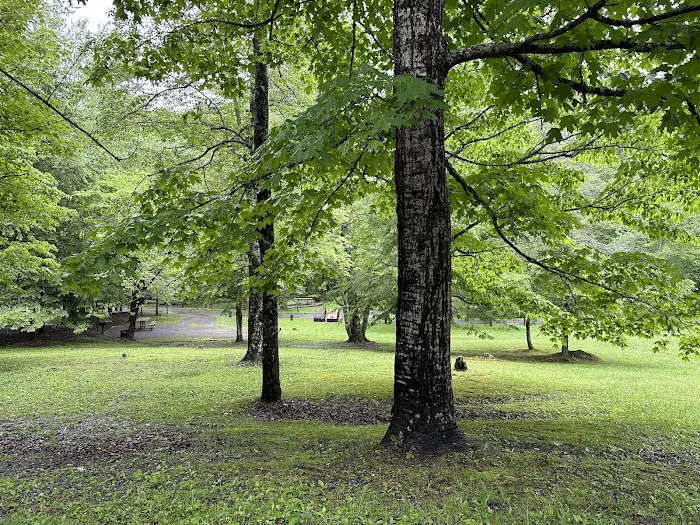 Tsali Campground, US Forest Service, Cheoah Ranger District 7